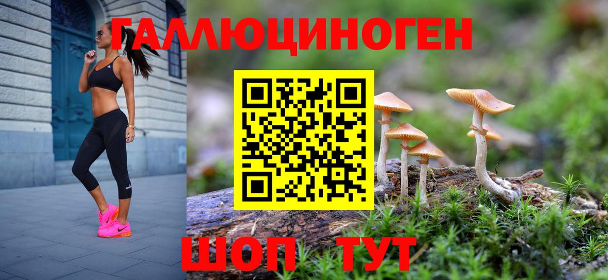 Новочеркасск  Псилоцибиновые грибы ЛСД  Вход с VPN 
